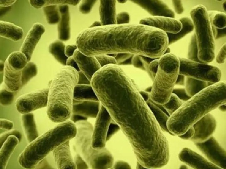 微生物降解技术