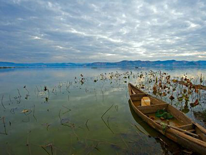 底泥原位消减技术